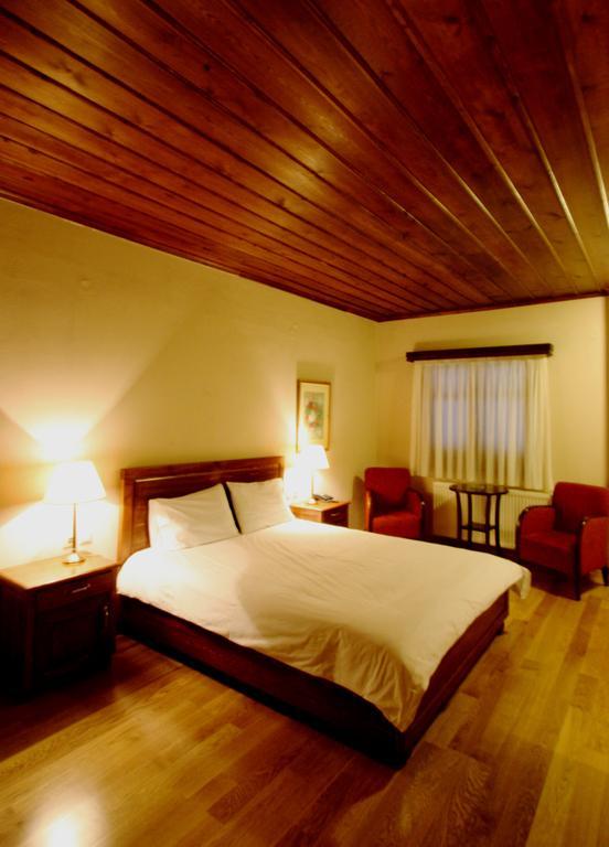 Hotel Papanastasiou Ελάτη Δωμάτιο φωτογραφία
